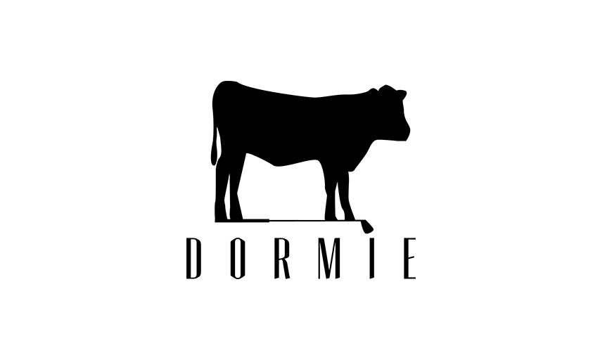 Dormie Workshop