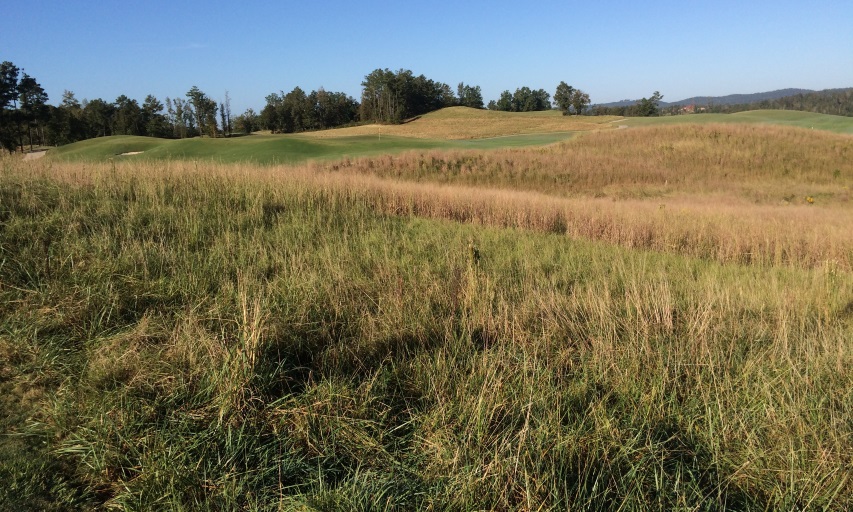 Robert Trent Jones Golf Trail