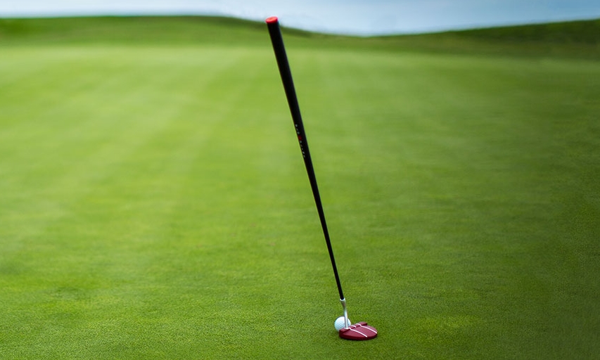 Bloodline Putters