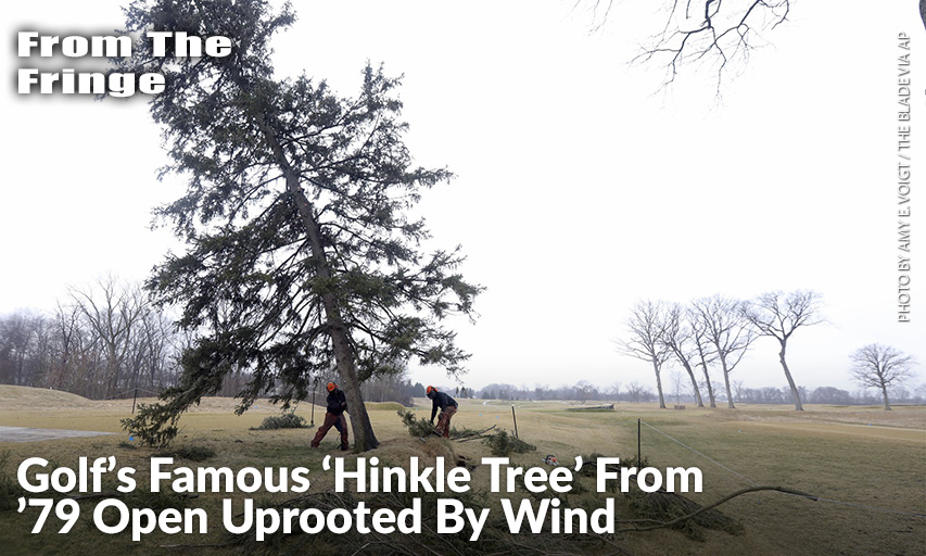 Ryan Kaczor (L) And Jordan Michaud (R) Remove The Hinkle Tree On The Golf Course At The Inverness Club. The Black Hills Spruce Was Uprooted By A Gust Of Wind. Hinkle Tree