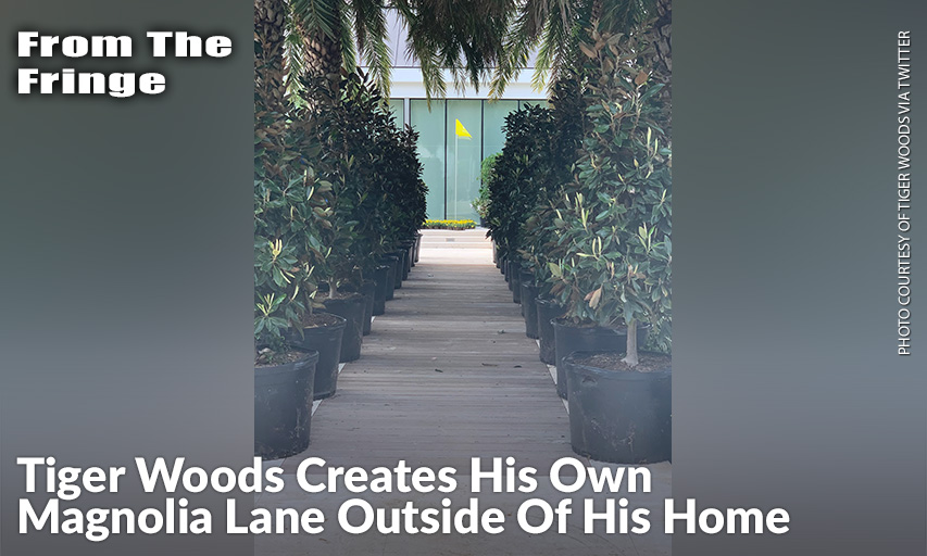 Tiger Woods' "Magnolia Lane" Outside Of His Florida Home.
