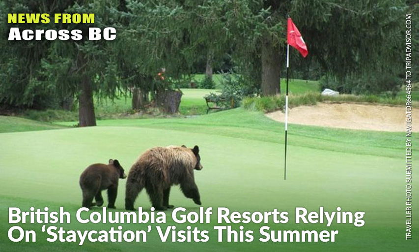 No Word If These Bears Had An Official Tee Time At Whistler GC, But They Are Okay For Social Distance Rules As They're From The Same Family.