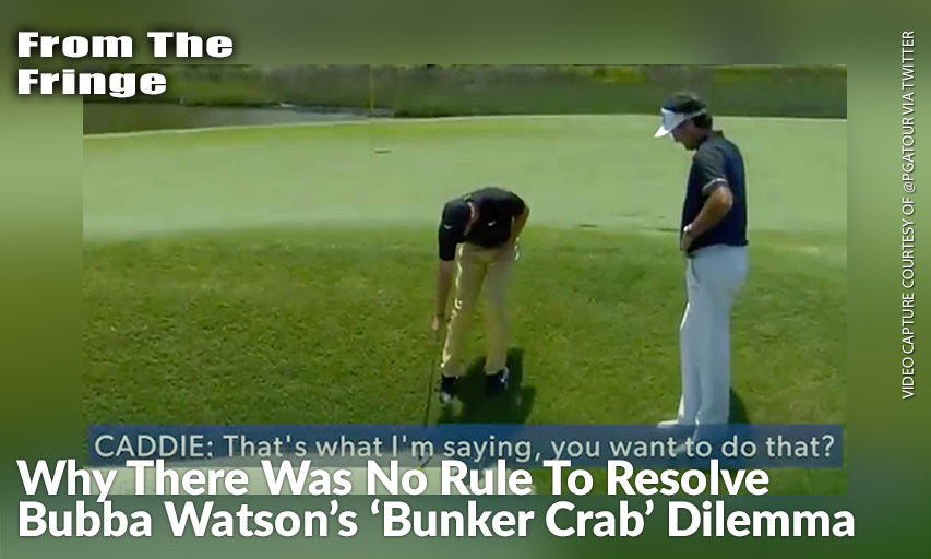 Bubba Watson And Rory McIlroy Inspect The Crab Nestled Under Watson's Golf Ball.