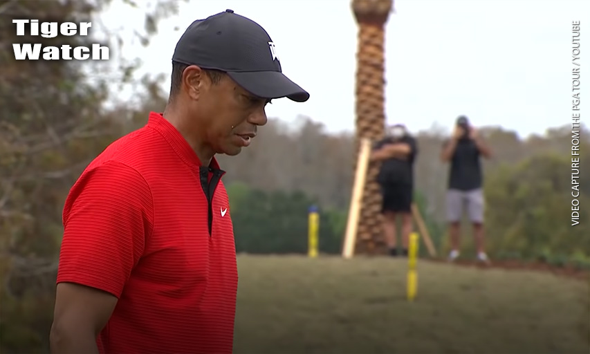 Tiger Woods back surgery