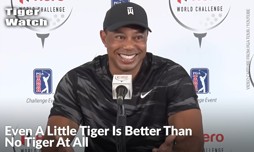 Tiger Woods