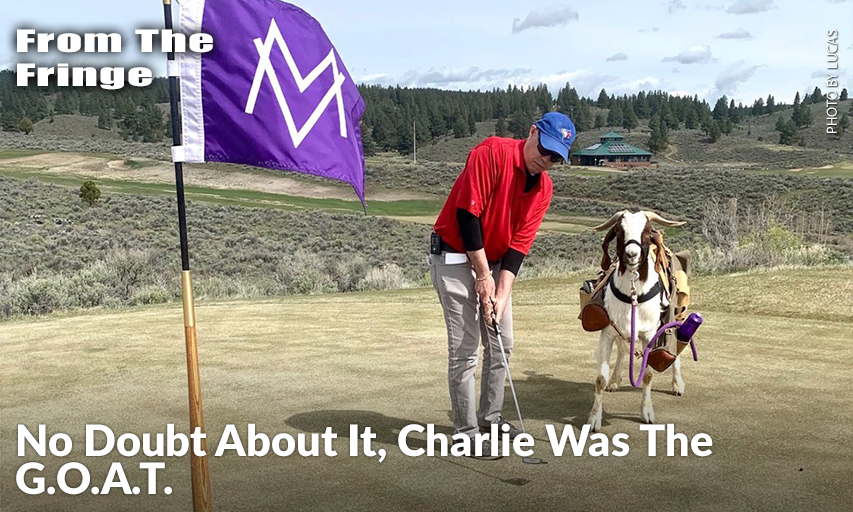 My Time With Charlie, The GOAT Caddie, Had A Bit Of A Rough Start When He Decided To Fertilize The First Green. After A Bit Of A Lecture On Course Etiquette, He Was Well Behaved For The Rest Of The Round.
